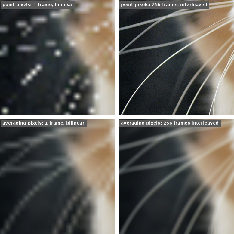 Four crops of the cat's whiskers over dark fur in a 2 by 2 grid. Top row, point pixels: one frame, bilinear upsampled, shows scattered blurred dots; 256 frames interleaved show sharp whiskers. Bottom row, averaging pixels: one frame, bilinear upsampled, shows the whiskers broken into dashes; 256 frames interleaved show them as continuous soft lines.